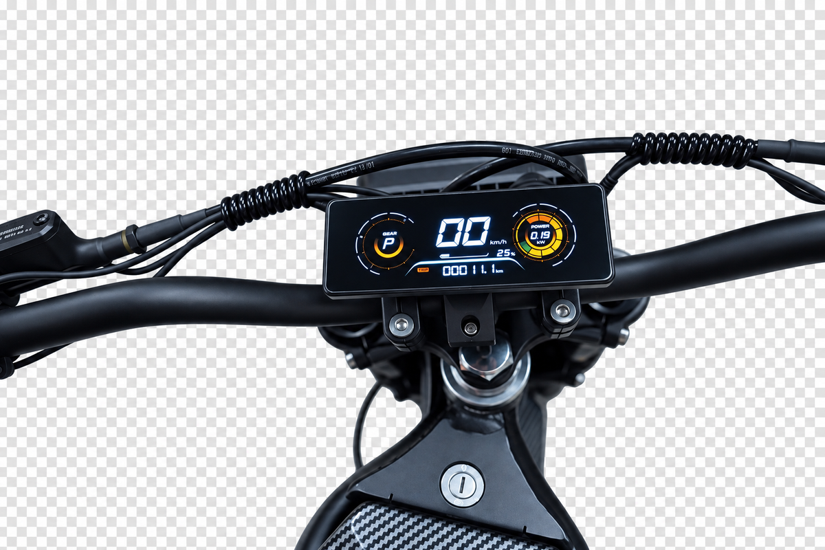 Panquire T-01 Electric Dirt Bike