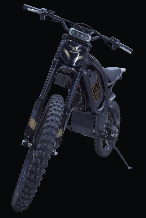 Panquire T-02 Electric Dirt Bike