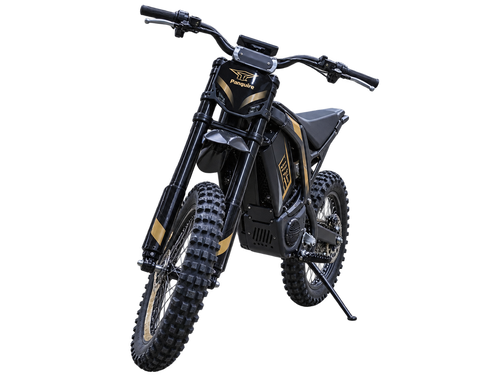 Panquire T-01 electric dirt bike opposite front three-quarter view